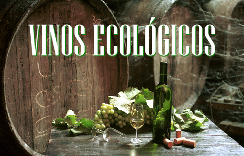 Vinos Ecológicos en Andalucía