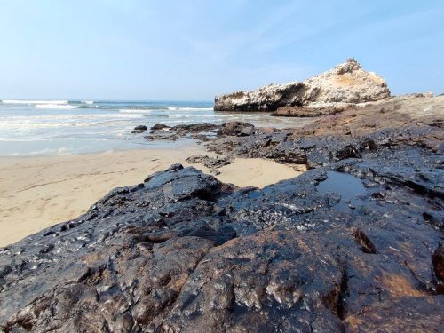 OCEANA: “REPSOL causa un desastre ambiental sin precedentes al derramar al menos 6 mil barriles de petróleo al mar”
