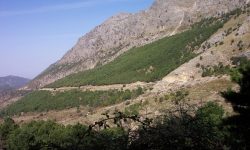 POLITICAS DE ADAPTACIÓN EN ANDALUCÍA