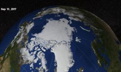 WWF subraya que la falta de hielo del Ártico recuerda la urgencia de luchar contra el cambio climático
