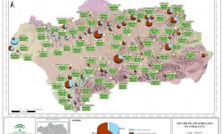 La reserva hidráulica andaluza se encuentra al 40% de su capacidad