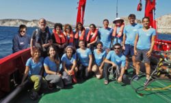 Life Blue Natura: El muestreo del carbono azul