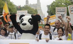 WWF pide mucha más audacia, innovación y acción urgente para ganar al cambio climático