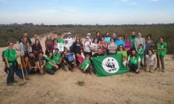 Cientos de voluntarios de WWF plantan árboles en 13 puntos de España en defensa de los bosques