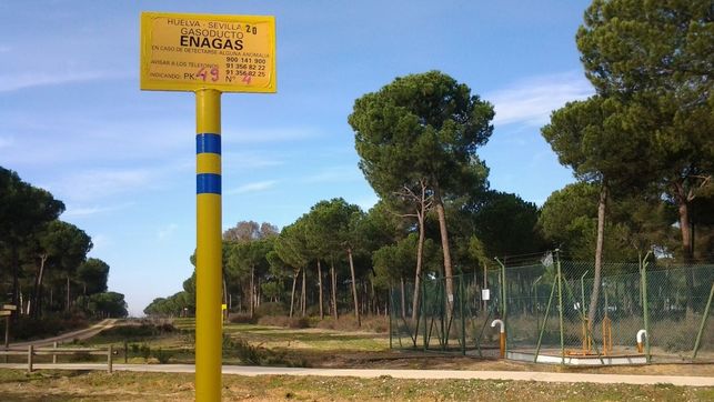 Ecologistas en Acción exige la paralización total del almacenamiento de gas natural en Doñana