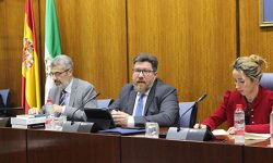 El sector ecológico andaluz genera un valor de producción de unos 700 millones y 42.000 puestos de trabajo