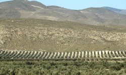 El Gobierno andaluz ratifica una sanción por extracción ilegal de aguas subterráneas en Tabernas