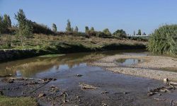 La instrucción para los planes de sequías es contraria a la normativa y dañará gravemente el estado de los ríos