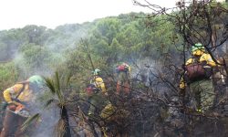 El INFOCA fija en su Comité Asesor las estrategias ante la entrada en vigor de la temporada de alto riesgo de incendios