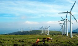 El sector renovable exige rigor sobre costes y precios