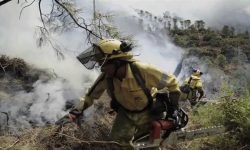 La Junta destina 508 millones al programa de gestión de la Agencia de Medio Ambiente y Agua hasta 2019