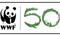 WWF España: 50 años defendiendo la Naturaleza