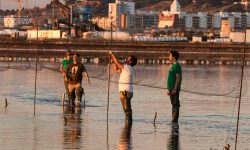 El anillamiento nocturno de aves en las marismas del Odiel proporcionará nuevos datos sobre sus rutas migratorias