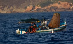 Oceana publica una plataforma interactiva para calcular los beneficios de la pesca sostenible
