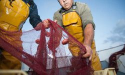 Los países del Mediterráneo alcanzan un acuerdo que impulsa la sostenibilidad de la pesca artesanal