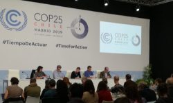 Las ONG ambientales piden más ambición al Gobierno español y a la UE para afrontar la crisis climática