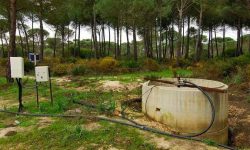 La UE condena a España por destruir Doñana