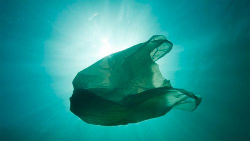 Un nuevo informe de WWF cuantifica el precio real de producir plástico