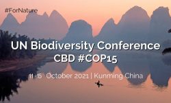 Cumbre de biodiversidad COP15: ¿La última oportunidad?