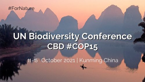 • Del 11 al 15 de ocubre se celebra la COP15 del Convenio de Diversidad Biológica en Kunming (China)