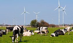 74% de la electricidad renovable en 2030