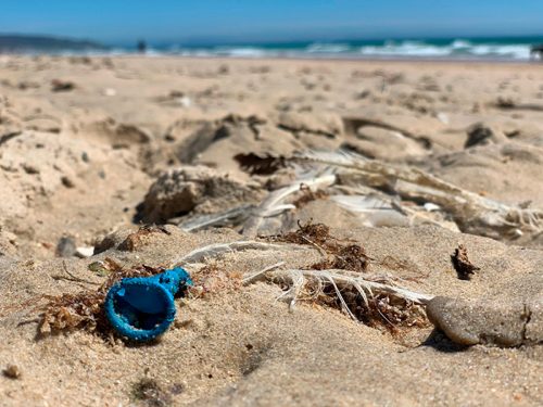 la recién aprobada Ley de Residuos no frenará la llegada de plásticos al mar