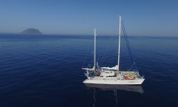 Oceana celebra el Día Mundial de los océanos con una expedición al Mar de Alborán