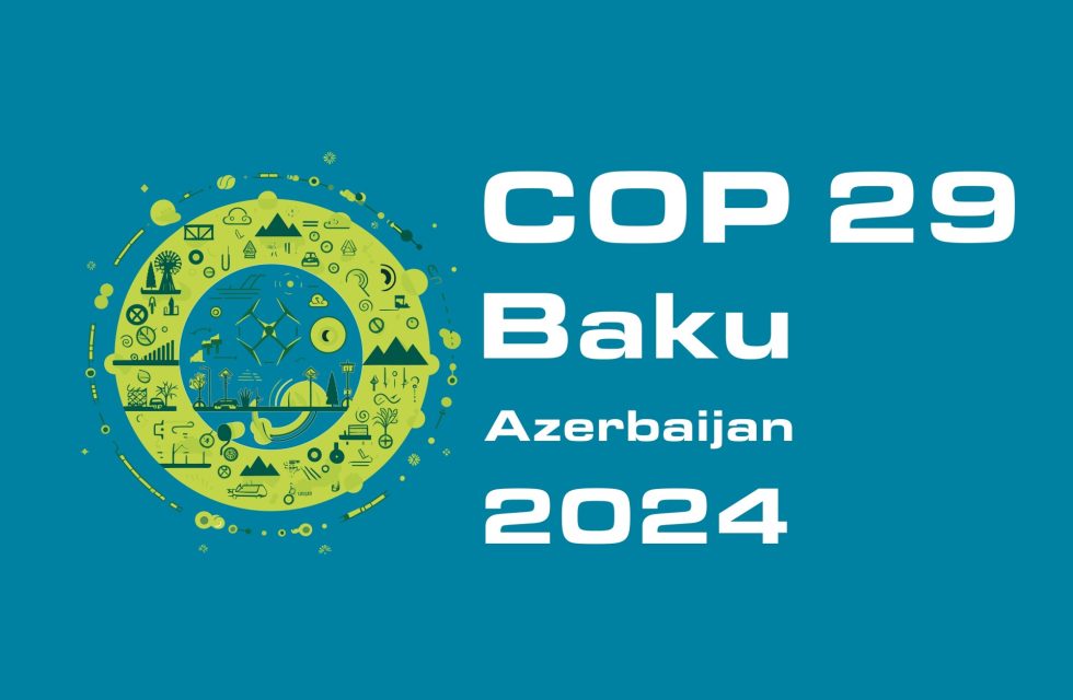 COP29