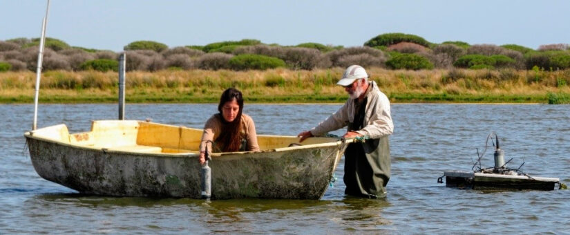 Informe del Estado de la Biodiversidad en Doñana 2024