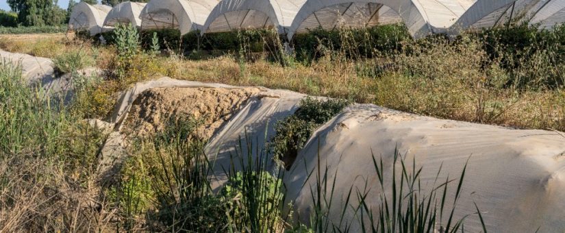 WWF advierte de que la Junta de Andalucía sigue sin cumplir con la recomendación de la Unesco de restaurar los corredores ecológicos de Doñana