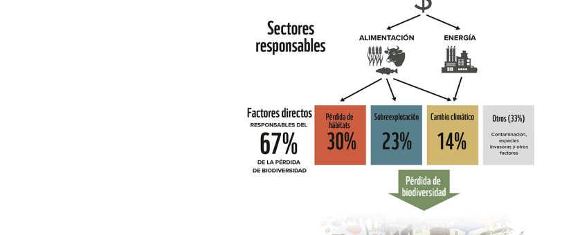 Disminuye un 73% el tamaño promedio de las poblaciones mundiales de vida silvestre en 52 años